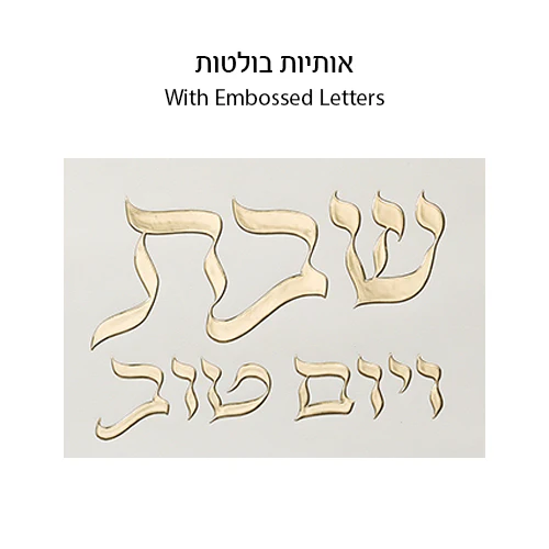 תמונת מוצר 4