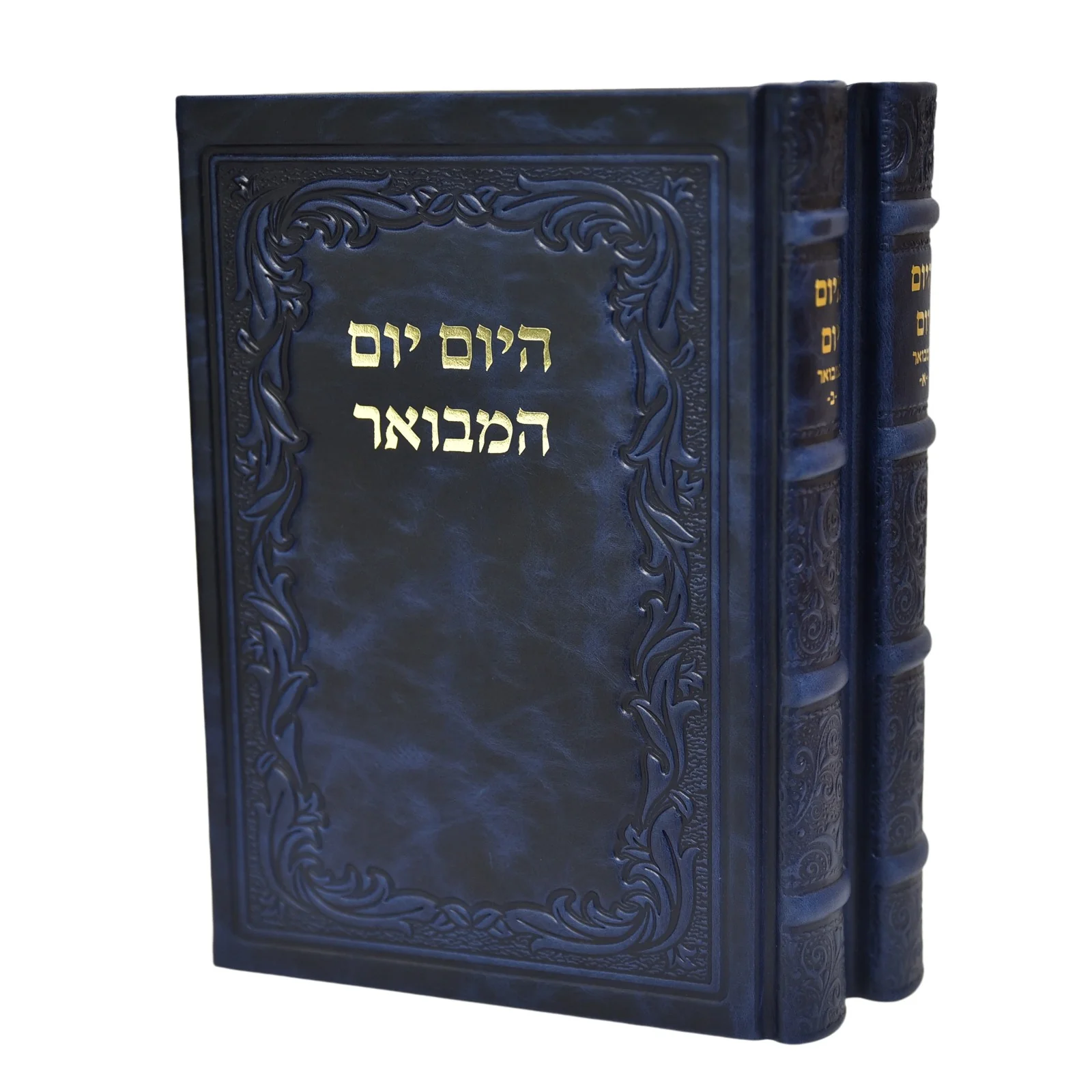 תמונה ממוזערת 2