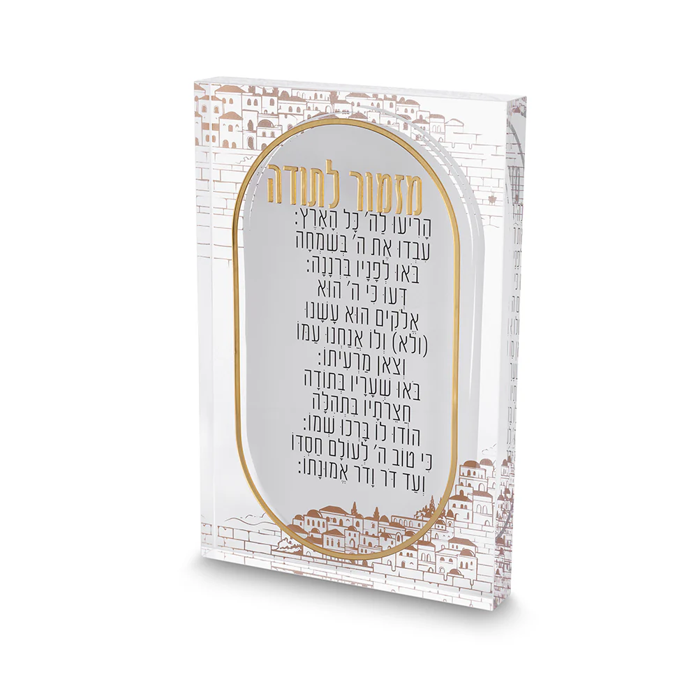 תמונת מוצר 1