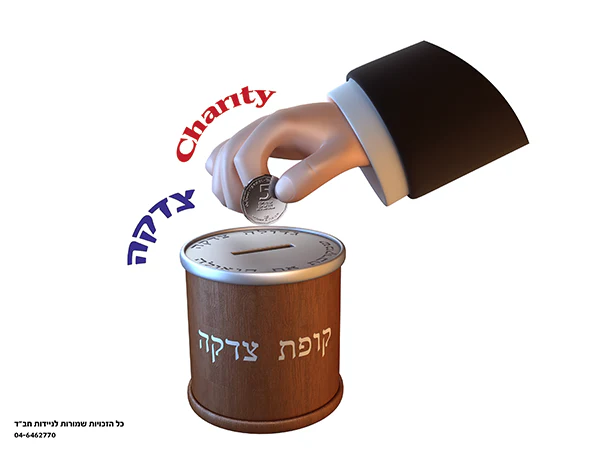 תמונת מוצר 3