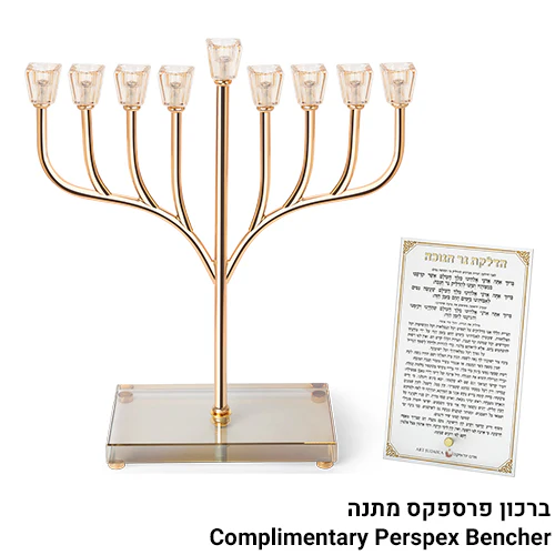 תמונת מוצר 1