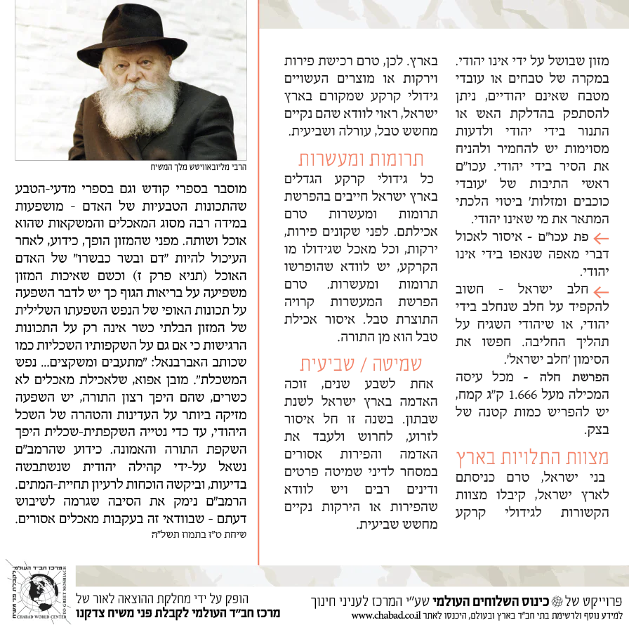 תמונת מוצר 4