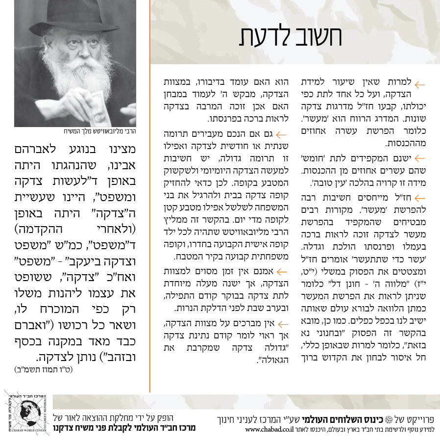 תמונת מוצר 4