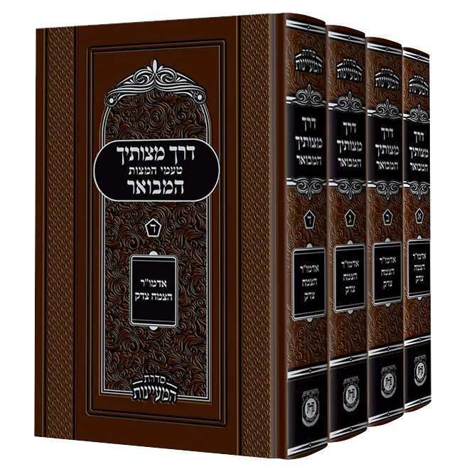 תמונת מוצר 1