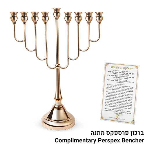תמונת מוצר 1