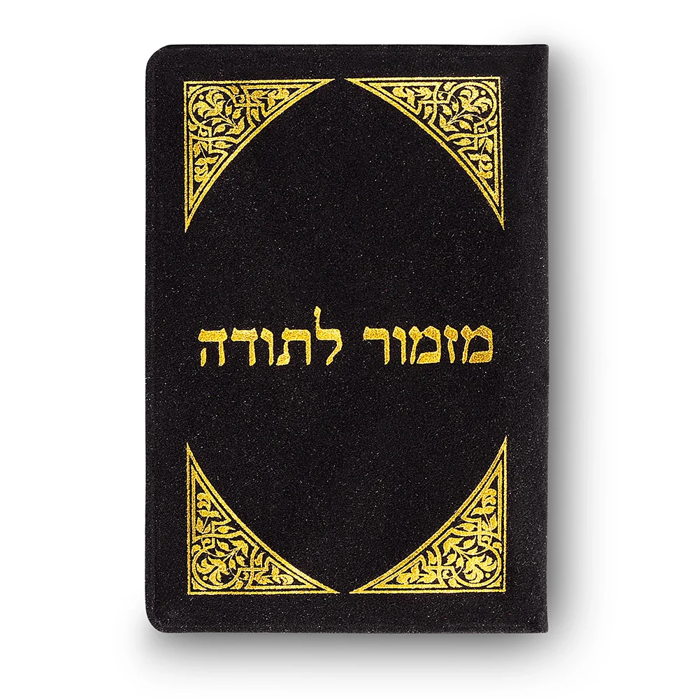תמונת מוצר 3