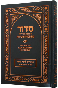 תמונת מוצר 1